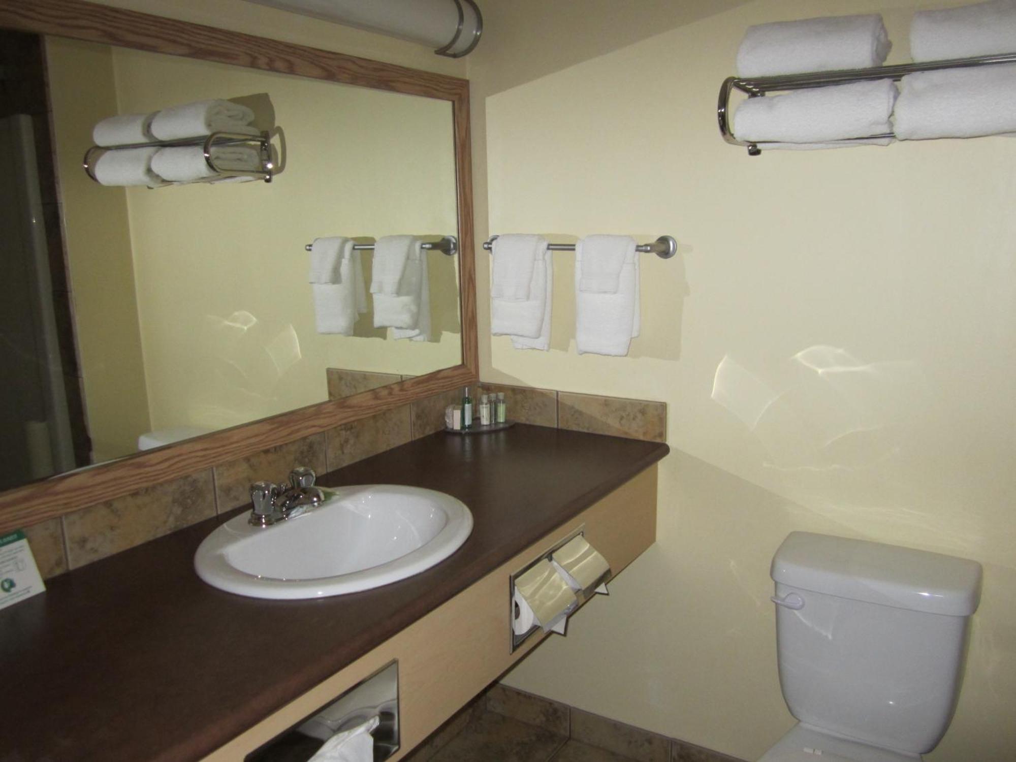 Trend Mountain Hotel & Conference Centre Tumbler Ridge Cameră foto