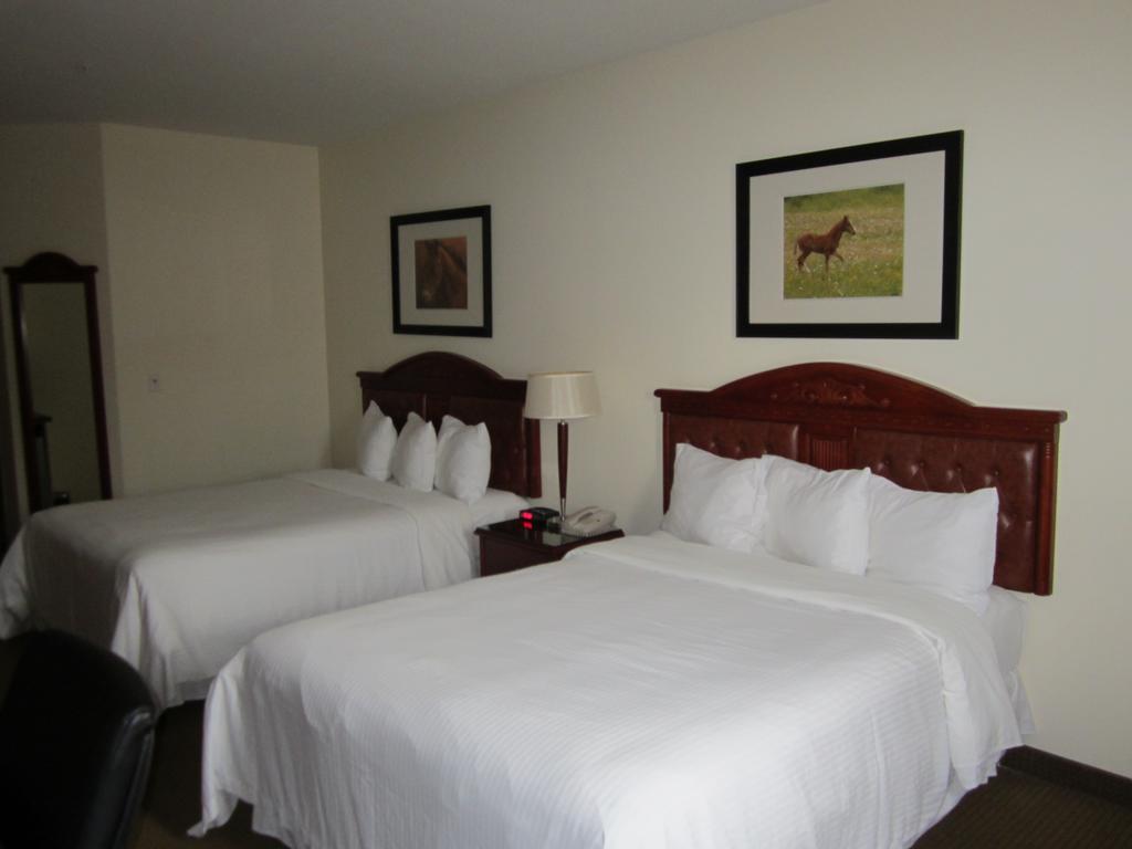 Trend Mountain Hotel & Conference Centre Tumbler Ridge Cameră foto